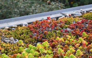 the cost of Upper Hoyland green roof installation