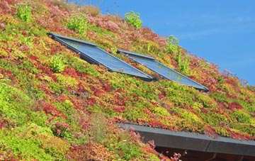 Upper Hoyland living roof systems